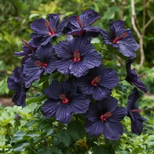 Гибискус Мэджик Момент купить по цене от 699р. в интернет-магазине «Посадика» с доставкой почтой в в Трехгорныйе и по всей России – [изображение №1].